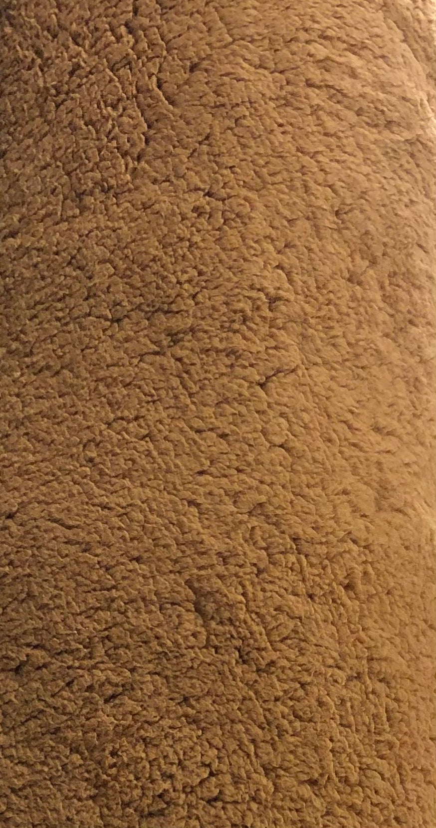 DAHN Multi Teddy ships by 12/18